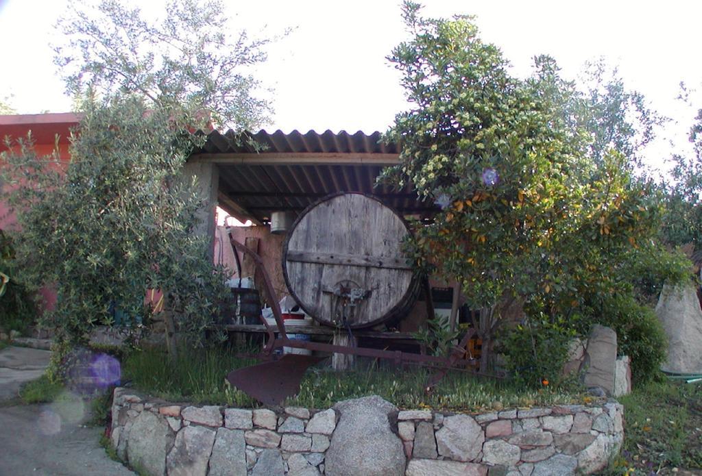 Agriturismo Su Barraccu Loceri Exterior photo