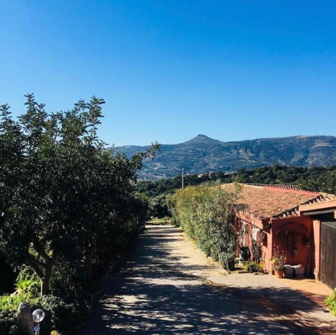 Agriturismo Su Barraccu Loceri Exterior photo