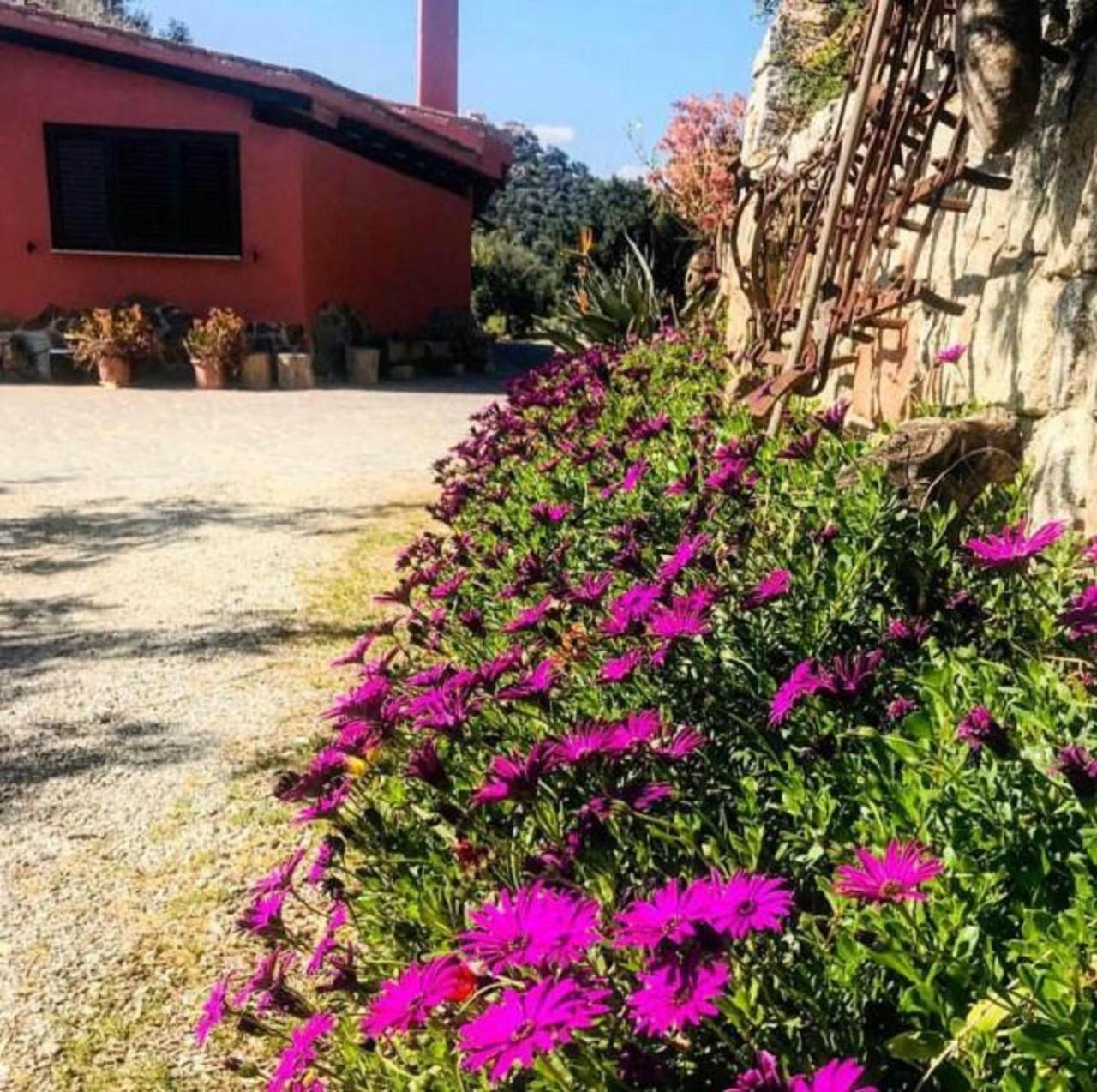 Agriturismo Su Barraccu Loceri Exterior photo